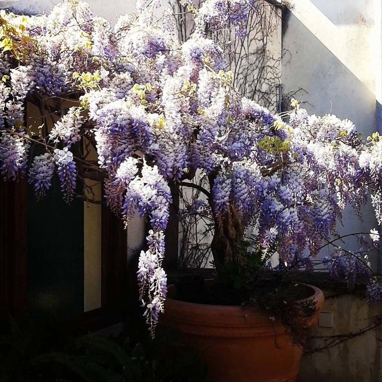 B&B Le Terrazze Bisceglie Exterior foto