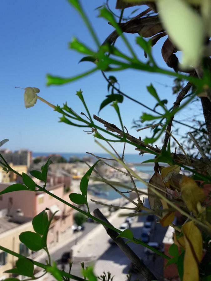 B&B Le Terrazze Bisceglie Exterior foto